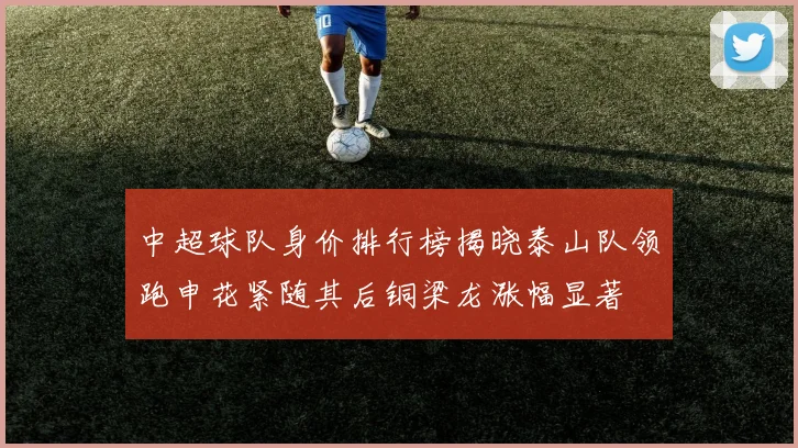 中超球队身价排行榜揭晓泰山队领跑申花紧随其后铜梁龙涨幅显著
